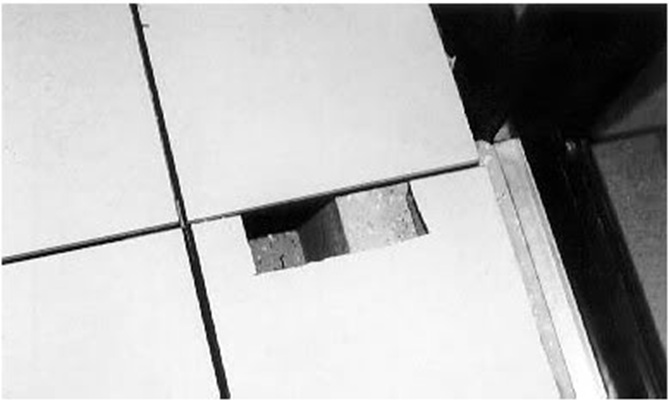 hu-hai-san-nang-ky-thuat-thuong-gap